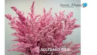 VIDEO JASON FLOWERS