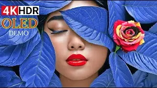 Feel Every Pixel &mdash; The Ultimate 4K HDR&trade; 60fps OLED Demo