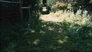 Poesi og poteter. Markens grøde. Film av Kristian Brandser med Janatan og Nataniel.