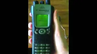 P2000 rikbos