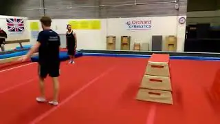 Freestyle Gymnastics Vaults