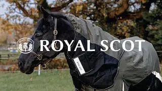 The Turnout Rug Built for British Weathers &ndash; Royal Scot Pro Turnout Rug
