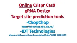 Online Crispr Cas9 gRNA design Target site prediction tools explained | ChopChop | IDT Technologies|