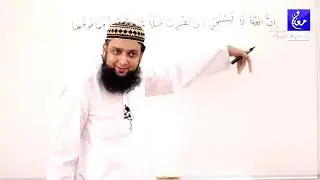 002 Surah Al Baqarah 26 to 29  Grammar and Urdu Translation