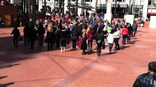 Beati Chorum Flash Mob Portland, Oregon