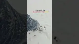 winter is wintering in  mussoorie #snowfall #firstsnow #mussoorie