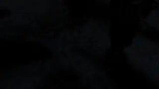 Pavlov_3 k dernier arme de poing