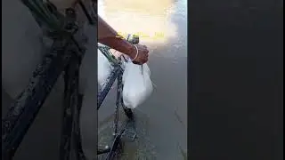 Gujrat flood updates