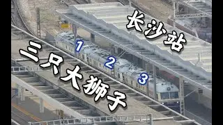 【京广铁路】“三连”狮子惊现长沙！三机重联DF11进长沙机务段
