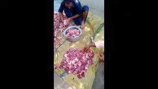 Eid Ul Adha 2020 Qurbani Meat Distribution Among Poor People of Village