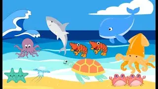 Let's Learn Animals Sea Animals, Excavator, Bird, Monkeys, Fish, Etc