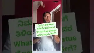 How to see your friends' WhatsApp status without them knowing?