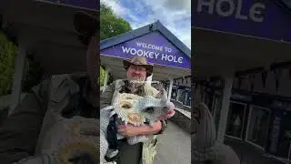 ☀️ Summer has officially landed at Wookey Hole! ☀️