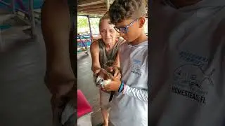 Monkey Island, Isla Popa, Bocas Del Toro, Panama