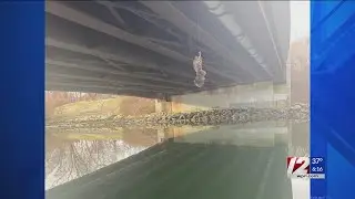 DEM saves owl caught in fishing line