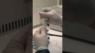 How to Perform a Semenalysis with Michelle! #newhopefertility #nyc #miniivf #laboratory #menshealth