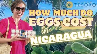 Affordable Living in Nicaragua &ndash; Grocery Prices 2026