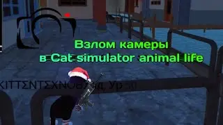 Hack Cameras Cat Simulator Animal Life 1.0.4.5 | TexnoВлад