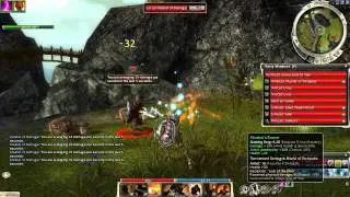 Guide: Warrior's Endurance Axe Build