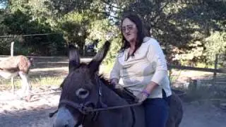 saddles ridin rustys ass.AVI