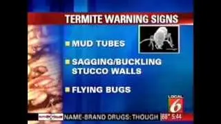 Understand Your Termite Bond Contract