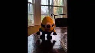 Minion Dancing Stuart