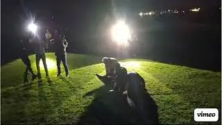 Nile Croc Capture