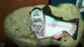 ***TRAVIS TROUT*** (Singing Fish)