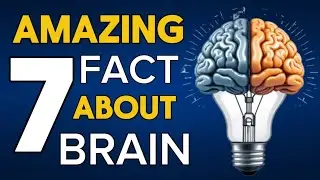 7 Amazing Fact Abuot Brain 