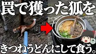 罠で獲った狐をきつねうどんにして食うだけ。