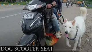DOG SCOOTER SEAT 💺| dog carrier for scooter | bella groot