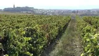 Bodegas Muga &middot; Introducci&oacute;n