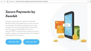 Обзор проекта Xeonbit