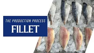 BASEAFOOD - Frozen Fillet Fish - Production Process
