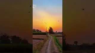 beautiful village view #reels #viral #photography #today #video #viralshorts #village #villagelife