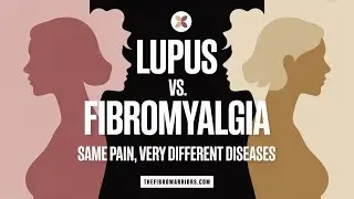 Lupus vs. Fibromyalgia: Same Pain, Very Different Diseases
