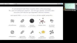&ldquo;Quantum Biology&rdquo;: how nature harnesses quantum processes to function optimally [...]
