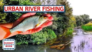 Urban Roach Fishing