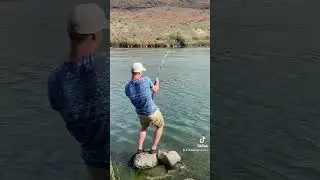 Giant snake river sturgeon! #shorts #conservation #sturgeon #outdoors #fishing #explore #idaho
