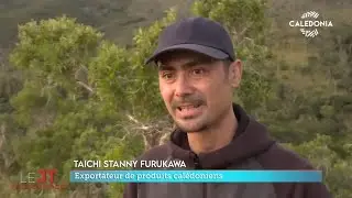 TV Caledonia - 3 importateurs japonais de miel en visite chez les apiculteurs cal&eacute;doniens
