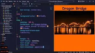 #41 Background Blend Mode   HTML CSS