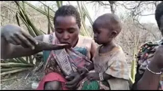 must-watch for anyone who loves traditional food #VillageCooking