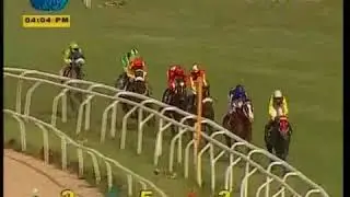 The Pune Derby (Gr.1) Winner - PIONEER
