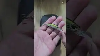 wobbler for trout#DUO Spearhead Ryuki#fishing#mountain #trout
