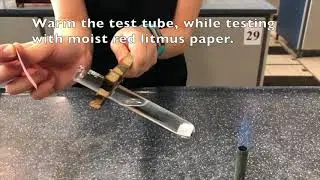 Practical - Test for Anion