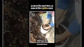 Vermi Compost Complete Plant food #vermicompost #earthworms #vermiculture #agribusiness #farming