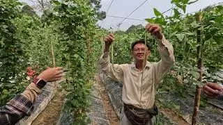 Why Supermarkets Reject Good Veggies | Than Institute