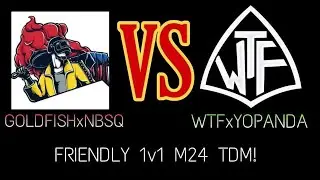 1v1 TDM With NewbSquad | GoldfishxNBSQ vs WTFxYoPanda | Friendly TDM montage | NBSQ vs WTF | YoPanda