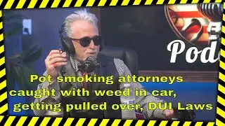 THE POT BROTHERS AT LAW