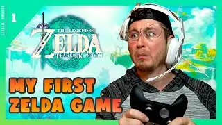 Tears of the Kingdom - MY FIRST ZELDA GAME EVER! HELP!